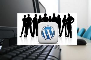 Advanced Topics in WordPress